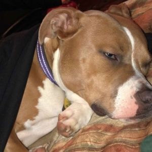 Meet your Posher, Raymond